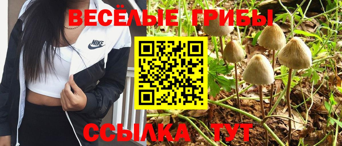 что такое   Вход с VPN  Армавир  Галлюциногенные грибы прущие грибы  Галлюциногенные грибы Magic Shrooms 